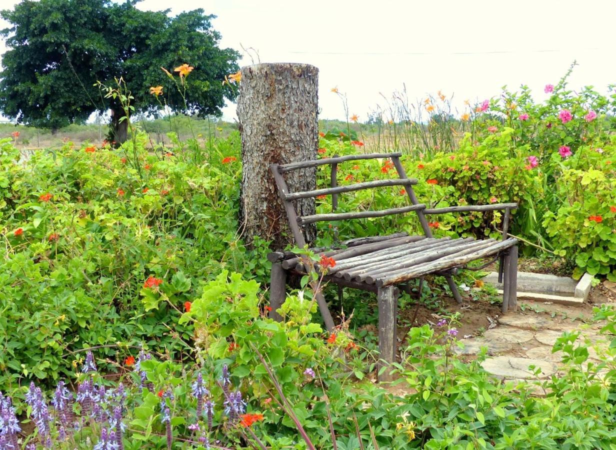 The Kraal Addo Hotel ภายนอก รูปภาพ